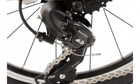 rower dzieciecy winora dasch 20 eq 2023