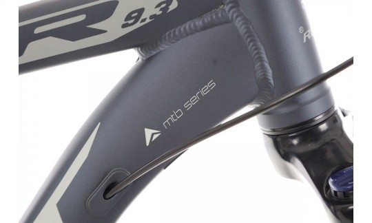 rower gorski romet rambler r93 ltd 2024