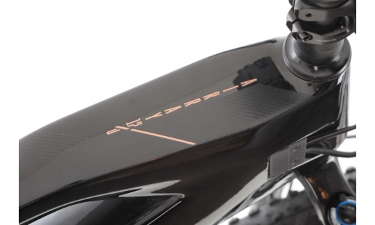 rower gorski elektryczny r raymon airray 120.webp