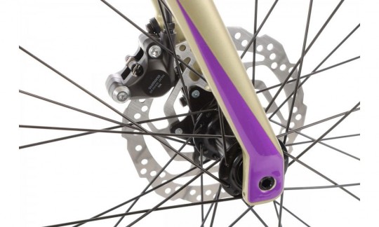 rower gravel merida silex 400 szampanski