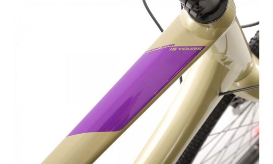 rower gravel merida silex 400 szampanski