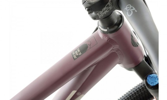 rower gorski kellys whip 70 fioletowy