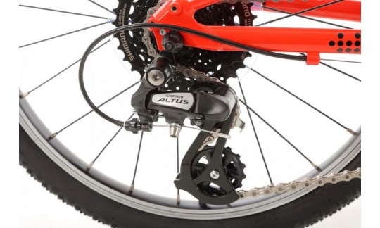 rower dzieciecy yupii 20 2025 czerwony