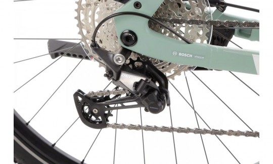 rower trekkingowy elektryczny r raymon tahona pro diamond 2025 zielony