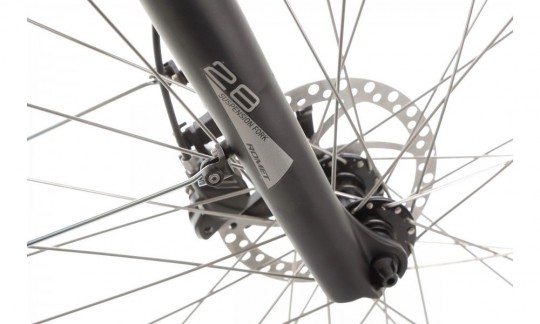 rower elektryczny miejski proeco by romet wave an 10 2025 bialy