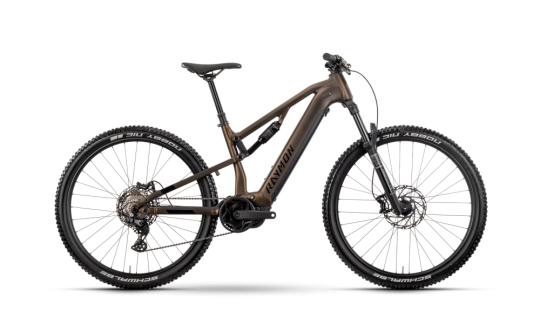 rower gorski elektryczny r raymon trailray 120 pro brazowo czarny