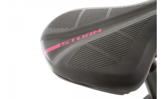 rower dzieciecy storm polly 20 light perlowy