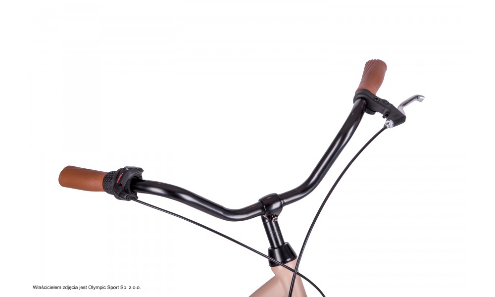 Rower miejski Azimut Iguana 28 Nexus-3 