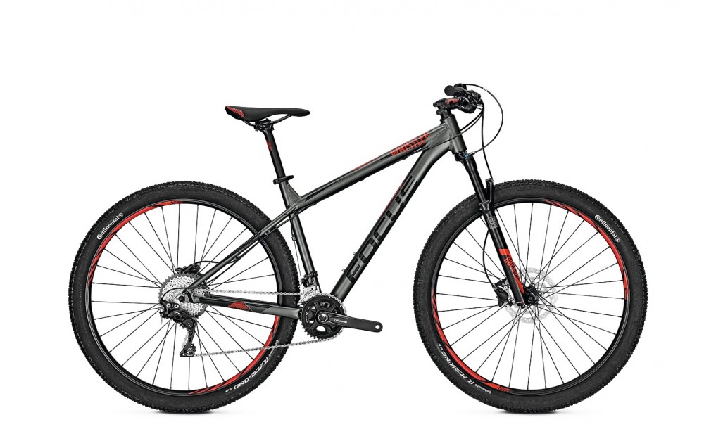 Rower górski Focus Whistler SL 29 