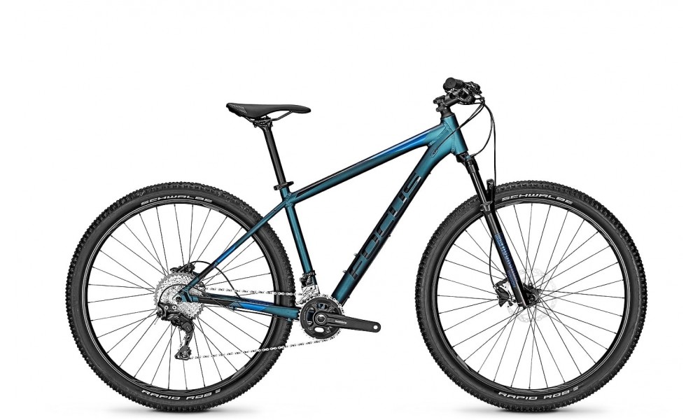 Rower górski Focus Whistler 3.9 29 2019