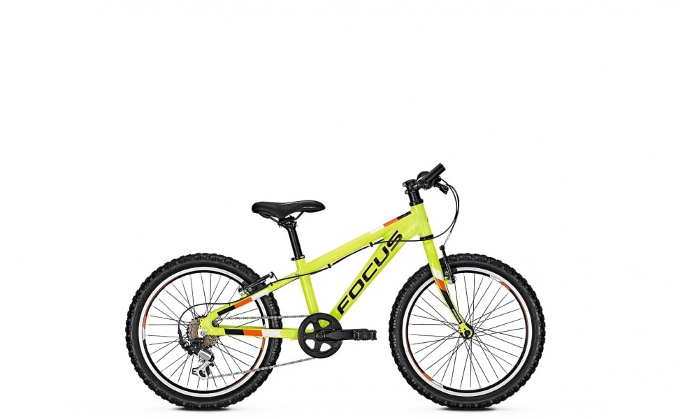 Rower dziecięcy Focus Raven Rookie 20 2019