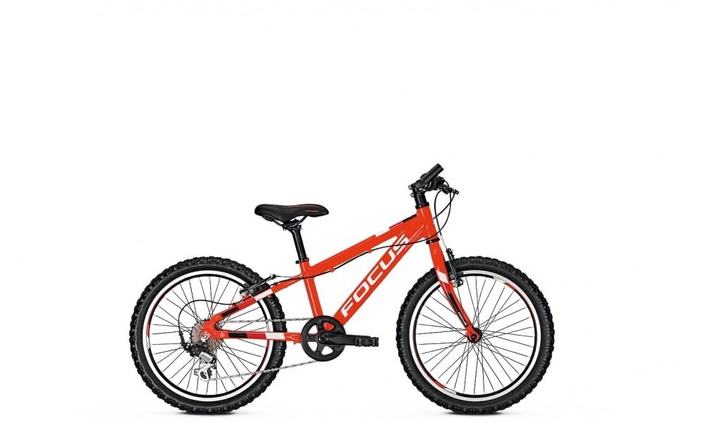 Rower dziecięcy Focus Raven Rookie 20 2019