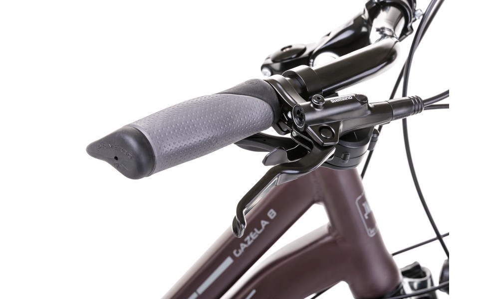 Rower trekingowy Romet Gazela 8 2020