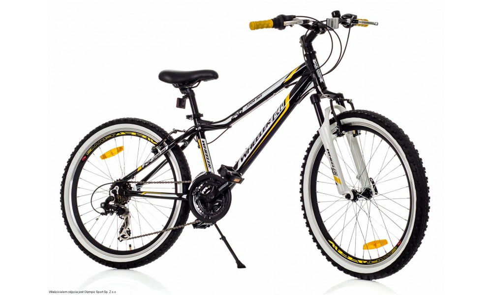 Rower młodzieżowy Wheeler Junior 240 2013