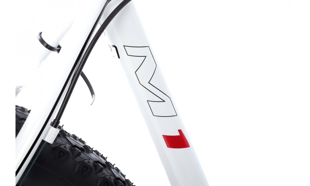 Rower górski Romet Mustang M1 