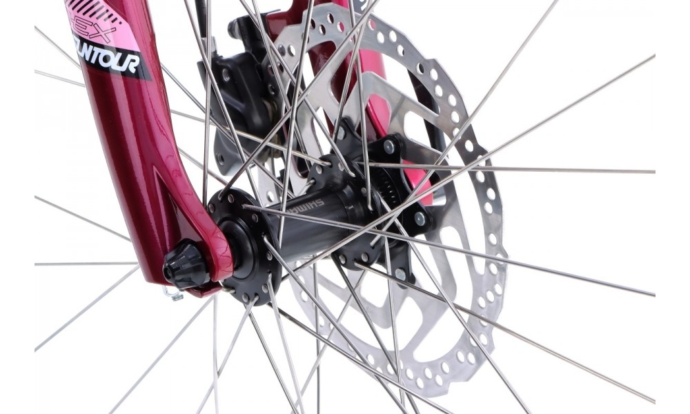 Rower crossowy Unibike Flash EQ Lady 