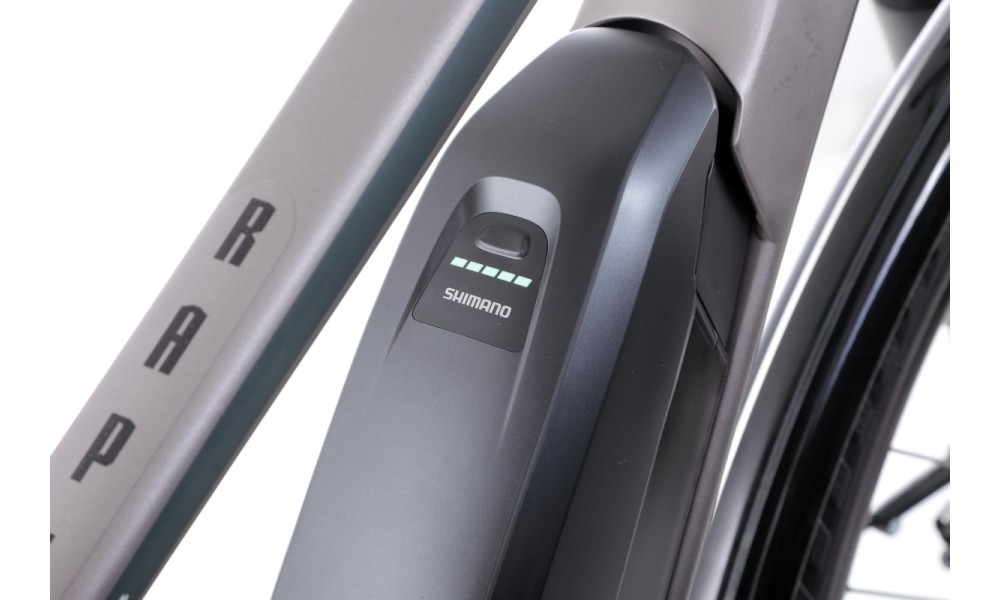 Rower elektryczny Unibike Rapid Lady 