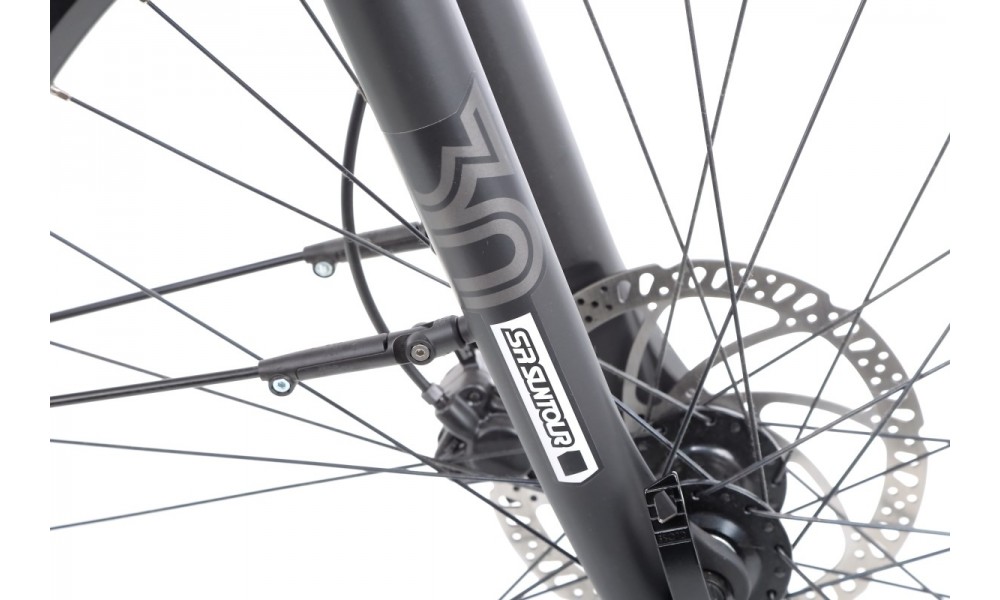 Rower elektryczny Haibike Sduro Trekking 1.0 Lady 2020