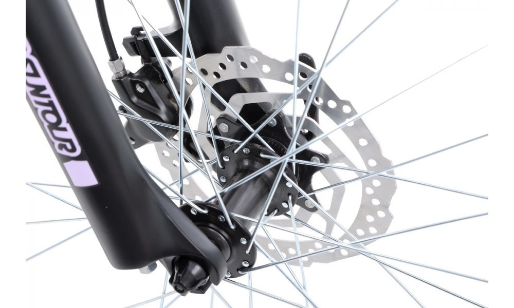 Rower górski Kellys Vanity 50 29