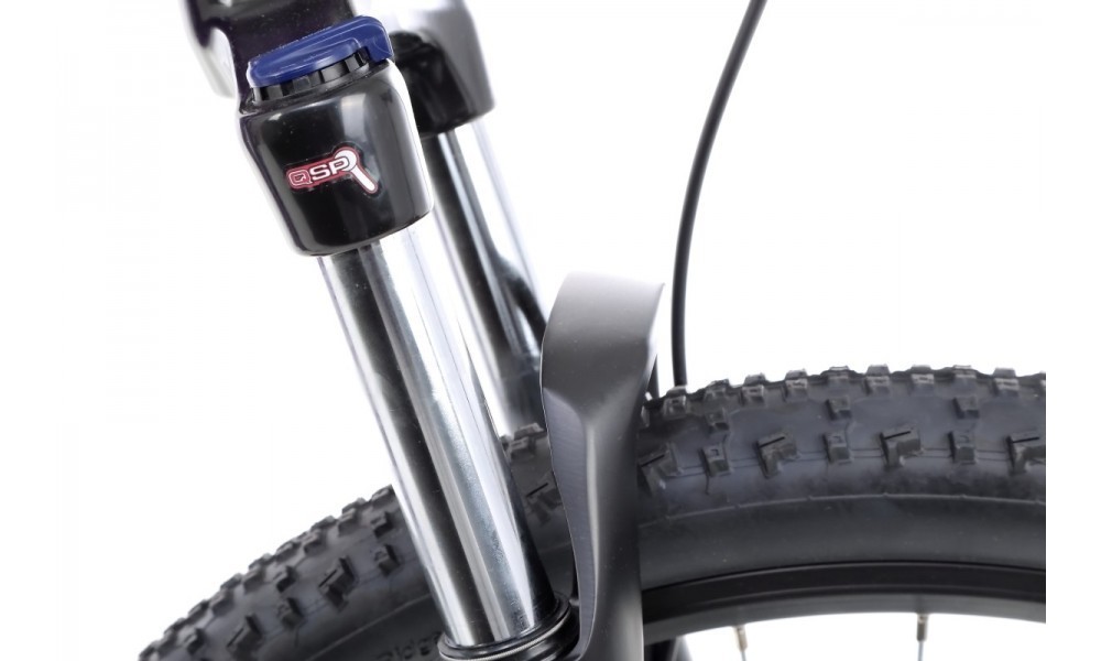 Rower górski Kellys Vanity 50 29