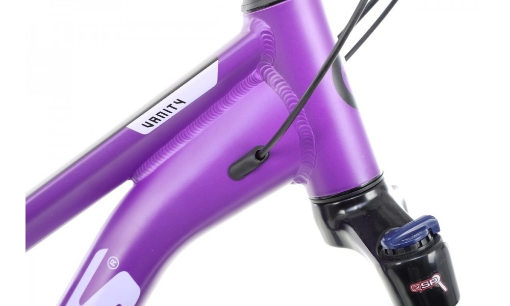 Rower górski Kellys Vanity 50 29