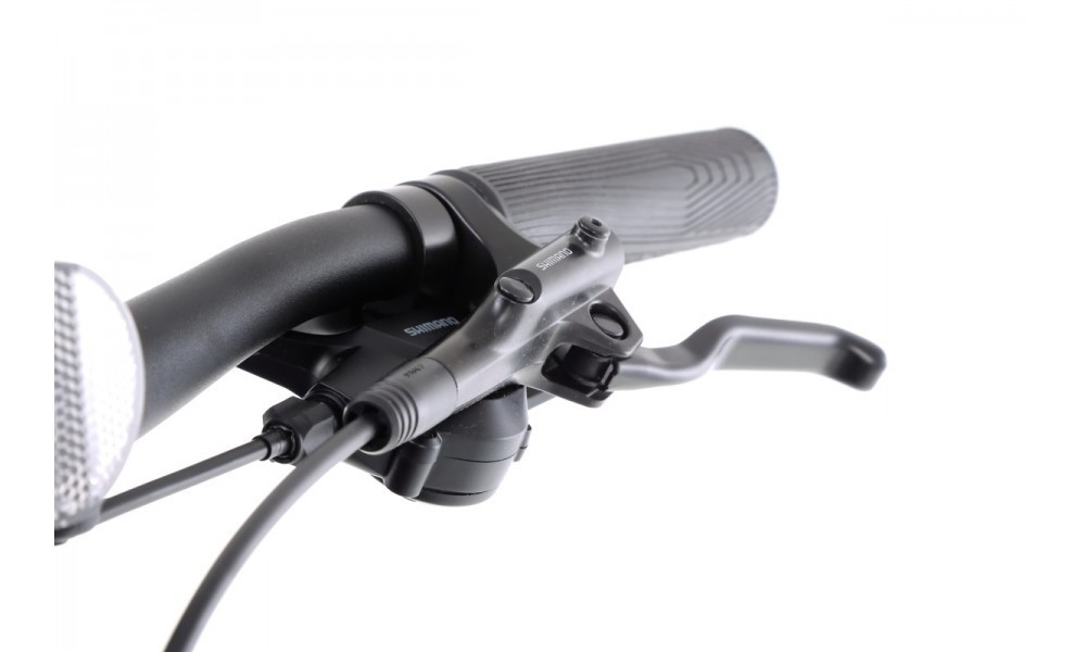 Rower górski Kellys Vanity 50 29