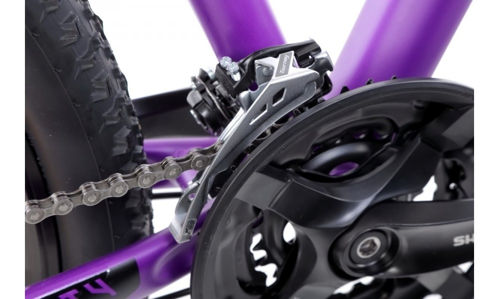 Rower górski Kellys Vanity 50 29