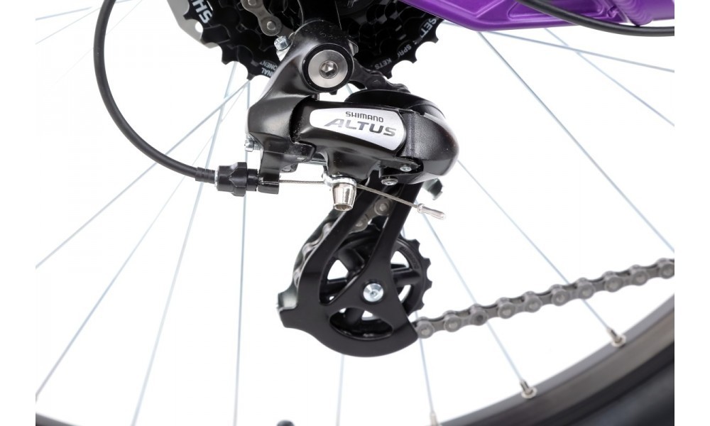 Rower górski Kellys Vanity 50 29