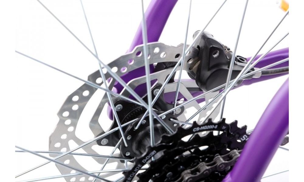 Rower górski Kellys Vanity 50 29