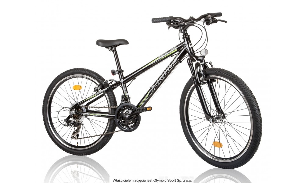 Rower młodzieżowy Arkus Beryl 240 2015