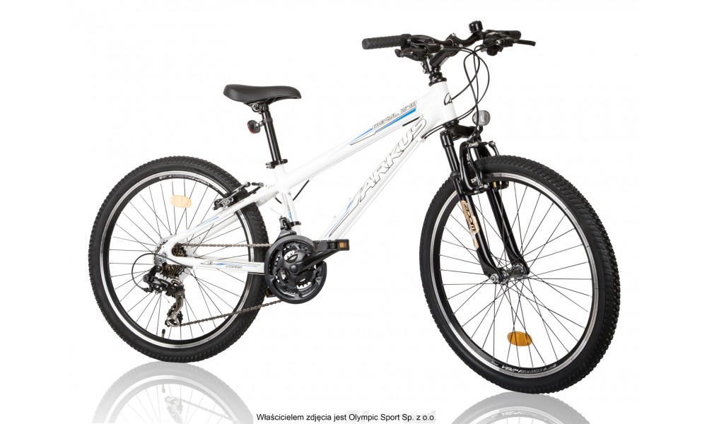 Rower młodzieżowy Arkus Beryl 240 2015