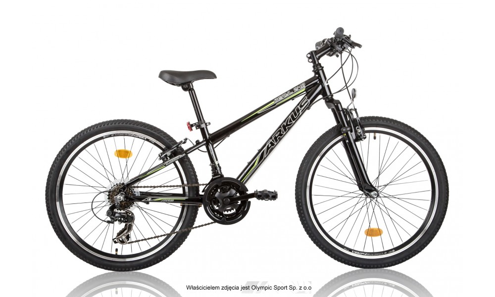 Rower młodzieżowy Arkus Beryl 240 2015