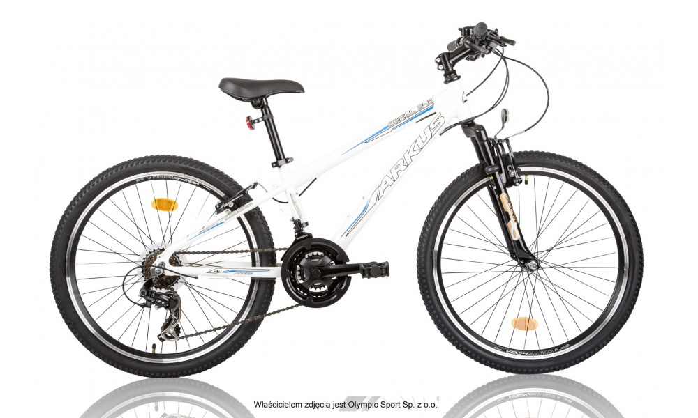 Rower młodzieżowy Arkus Beryl 240 2015