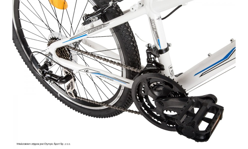 Rower młodzieżowy Arkus Beryl 240 2015