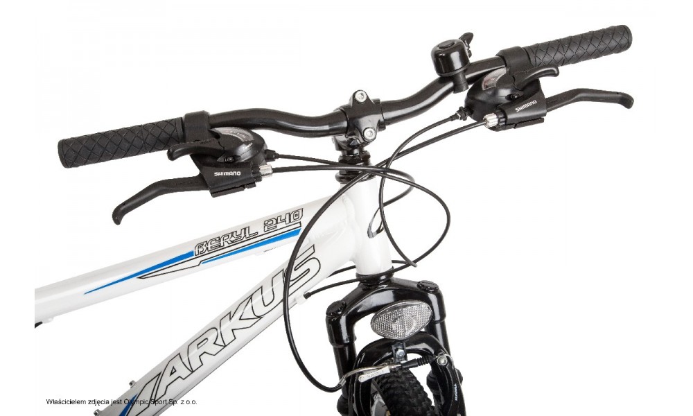 Rower młodzieżowy Arkus Beryl 240 2015