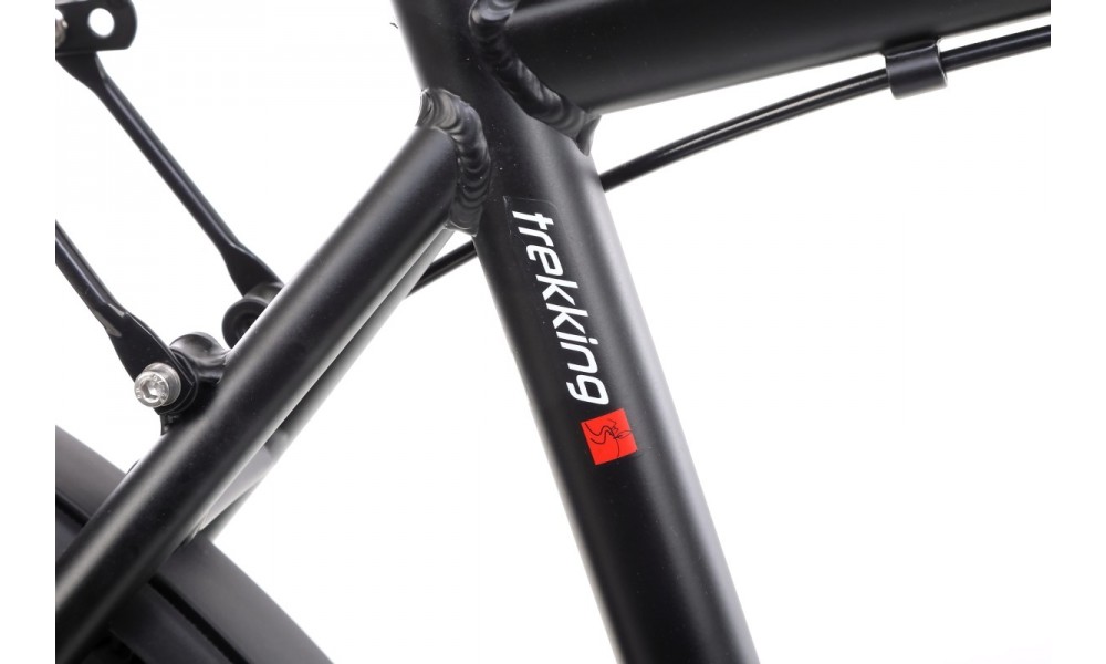 Rower trekkingowy Romet Wagant 2 