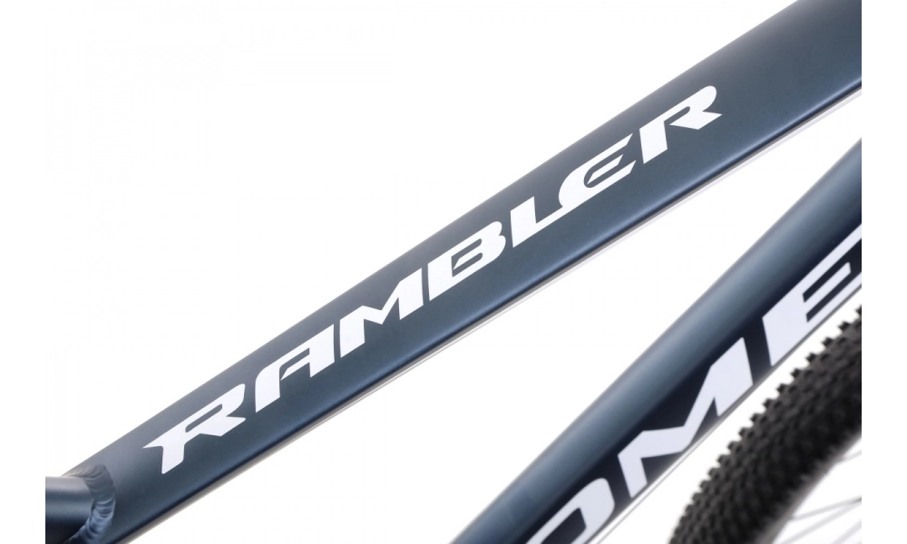 Rower górski Romet Rambler R9.1 2022