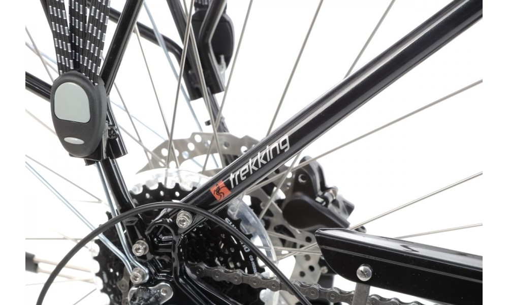 Rower trekkingowy elektryczny Romet Wagant 2 MM 