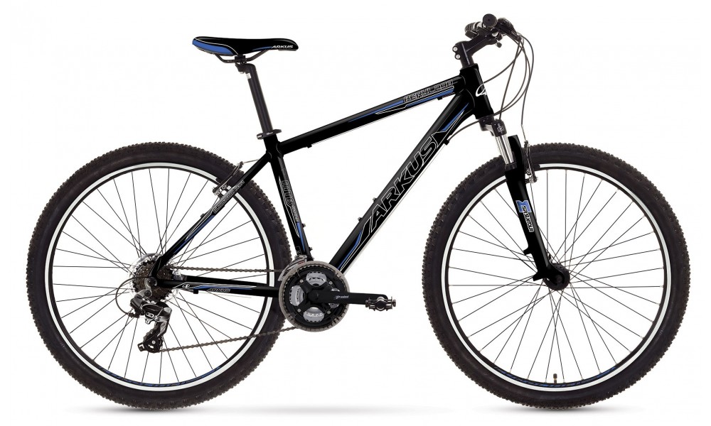 Rower górski Arkus Beryl 290 2015