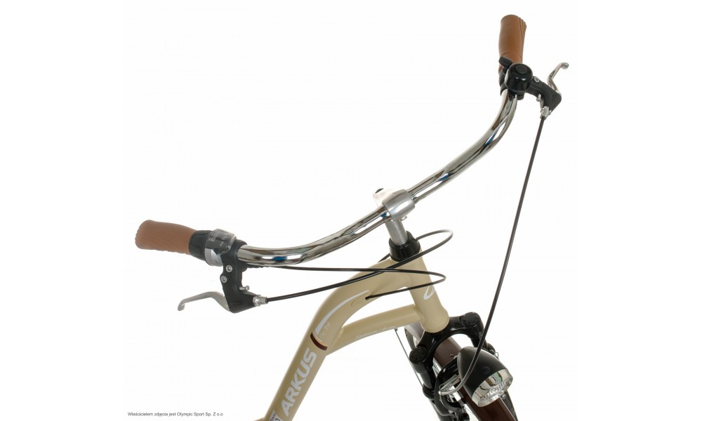 Rower miejski Arkus Samanta 28 Lux