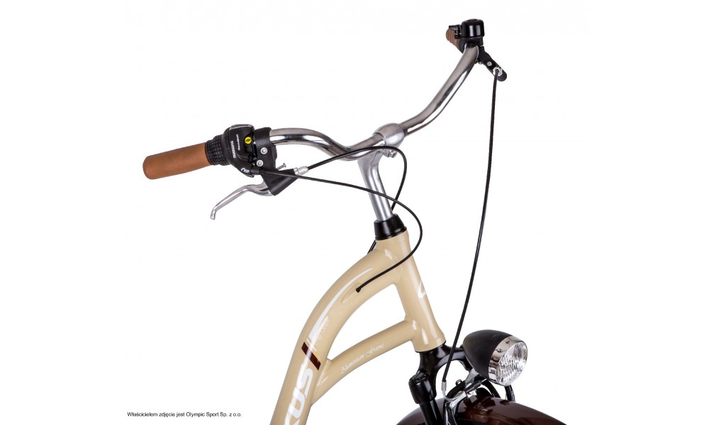 Rower miejski Arkus Samanta 28
