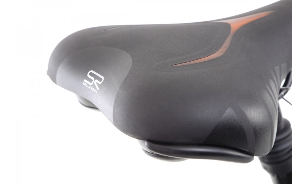 Rower trekkingowy elektryczny Ecobike D1 14Ah rama 18 cali