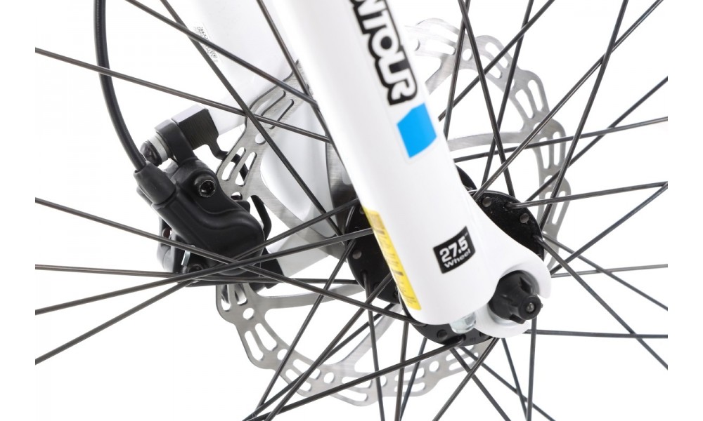 Rower górski elektryczny Ecobike SX3 - biały