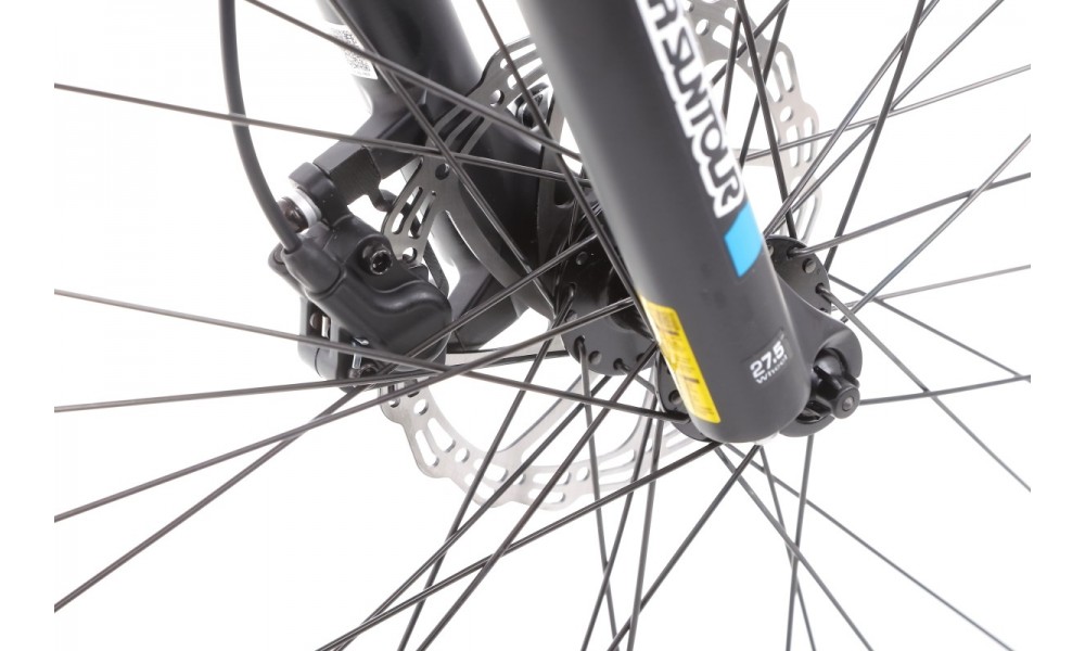 Rower górski elektryczny Ecobike SX4 - czerwony