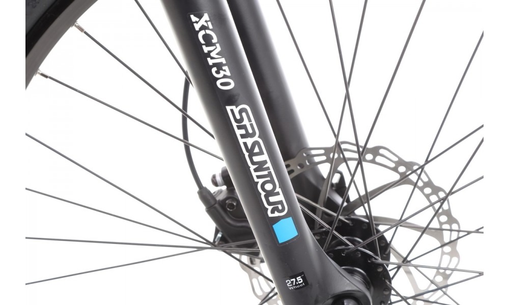 Rower górski elektryczny Ecobike SX4 - czerwony