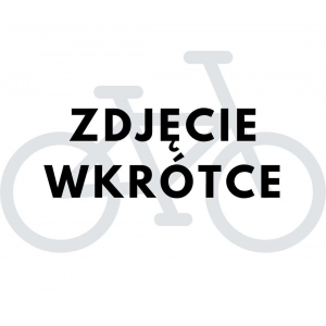 Rower składany elektryczny Ecobike Even 2023 17,5 Ah 15,5" biały