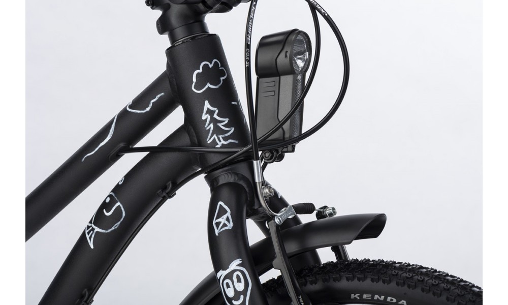 Rower dziecięcy Winora Dasch 20 EQ