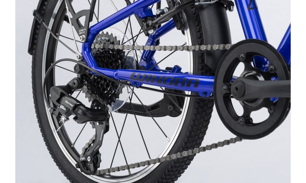 Rower dziecięcy Winora Dasch 20 EQ