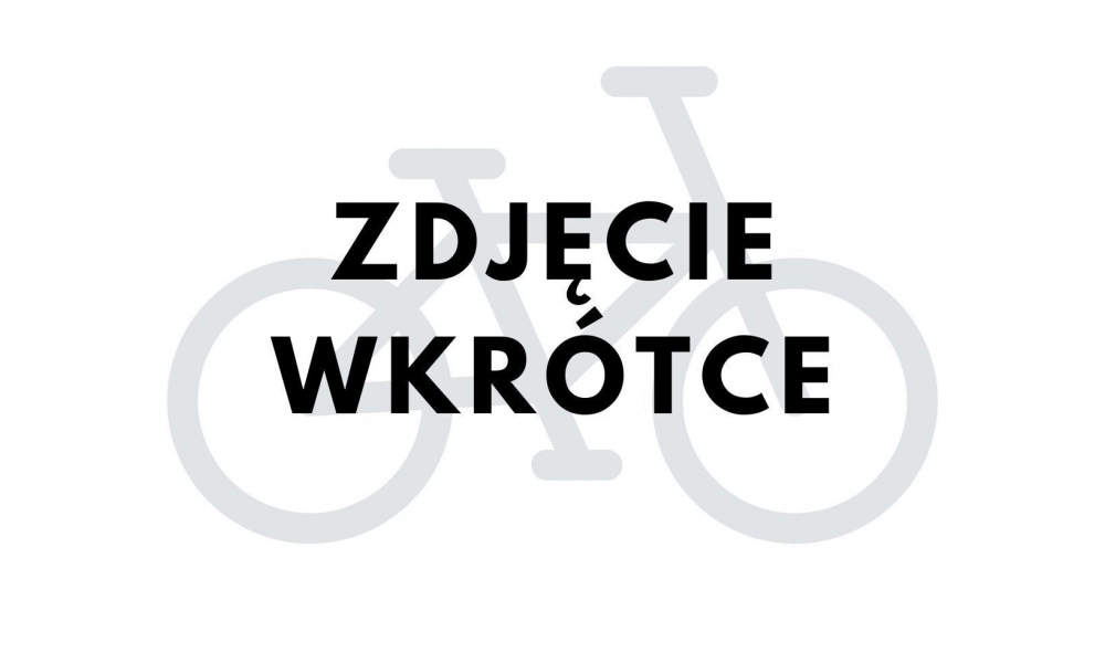 Rower crossowy Unibike Zethos Lady 2024