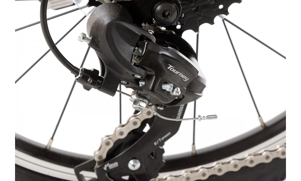 Rower dziecięcy Winora Dasch 20 EQ